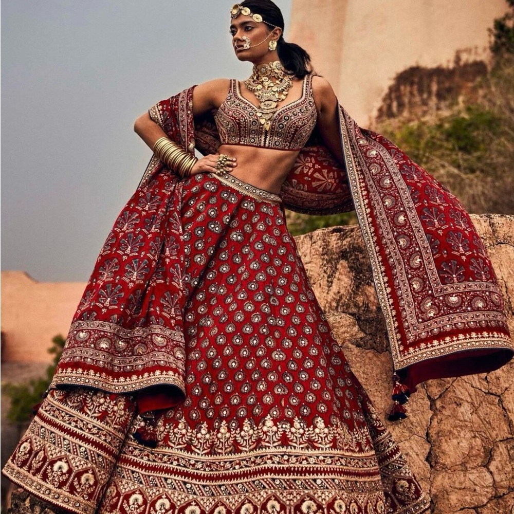 COPY - ANITA DONGRE BRIDAL DUPATTA AND BLOUSE